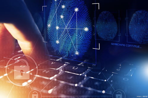 探索国际数字影像产业园的数字化技术应用与创新 数字文化创意内容应用服务的未来